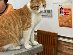 -珊珊小笼馆(仙霞路店)