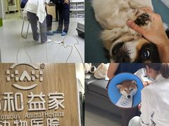 -谐和益家动物医院·免疫绝育·血液透析·宠保定点医院(高新伊藤分院)