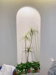 -VE专注问题肌·赛诺龙&科学美肤中心