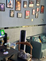 -V一刺青·纹身   穿孔    清洗