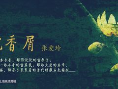 -SFC上影影城(成都科华IMAX店)