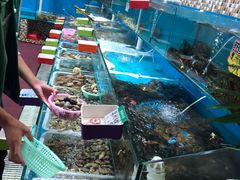 -港畔赶海蒸汽海鲜烧烤自助(仙螺岛店)
