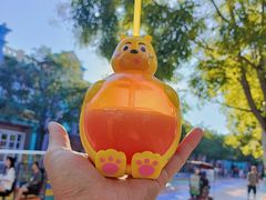 -沈阳方特欢乐世界