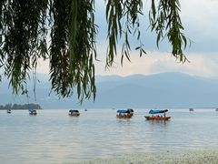 -西昌邛海湿地