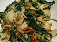 焗锅气奶白菜-小大董·烤鸭(五棵松店)