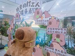 -凯德MALL(西直门店)