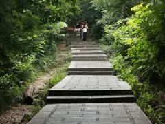 -大蜀山国家森林公园
