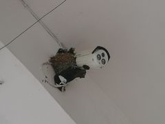 -南岳衡山风景名胜区-南岳大庙