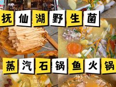-抚仙湖生态石锅鱼野生菌(告庄店)