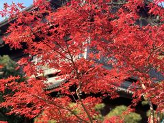 -龙华寺