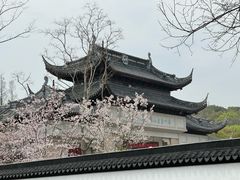 -苏州上方山国家森林公园
