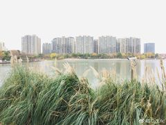 -南翔镇银翔湖公园