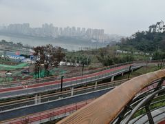 -大渡口区义渡公园