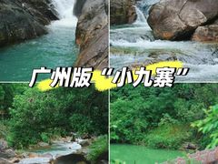 -广州白江湖森林公园