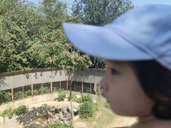 -石家庄市动物园