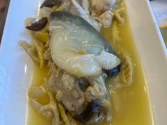 -孔庆璞河豚馆(白玉兰酒店)