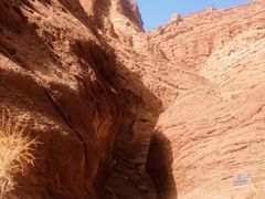 -天山神秘大峡谷