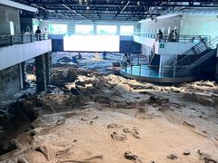 -自贡恐龙博物馆