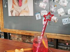 -柴犬高等学院·狗咖·柴犬售卖·宠物训练