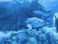 -珠海长隆海洋王国