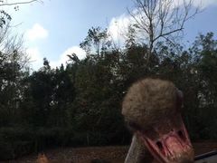 -海南热带野生动植物园