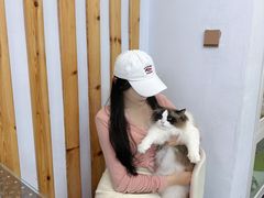 -青奢宠物·青奢猫舍