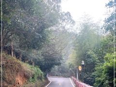 -潜山国家森林公园