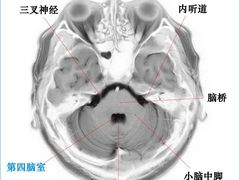 -裕和堂中医推拿艾灸(太古汇臻品店)