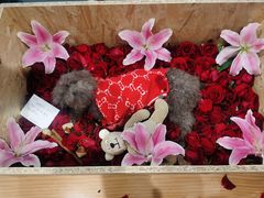 -爱侣宠医·鹦鹉专科·小型哺乳类·异宠专科(灵石路店)