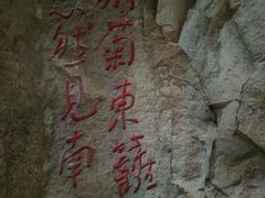 -大金鹰园