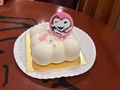 -史努比缤纷世界