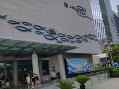 -上海海洋水族馆