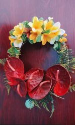 -呼拉汇舞蹈生活馆 Hawaii Hula&Tahiti Dance Studio