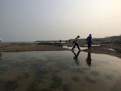 -日照灯塔风景区