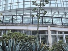 -昆明植物园