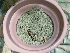 -瑞派动物医院·绝育·犬猫全科·预防医学(光景江南中店)