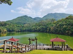 -雁南飞茶田景区