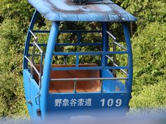 -野象谷景区