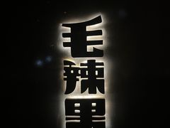 -毛辣果·酸