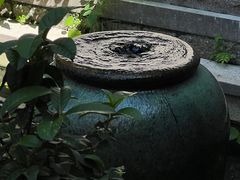 -中国茶叶博物馆(双峰馆区)