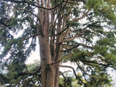 -终南山南五台景区