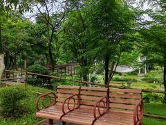 -东莞植物园