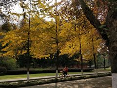 -四川大学(望江校区)