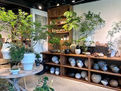 -自由生长植物工作室(深港花卉中心店)