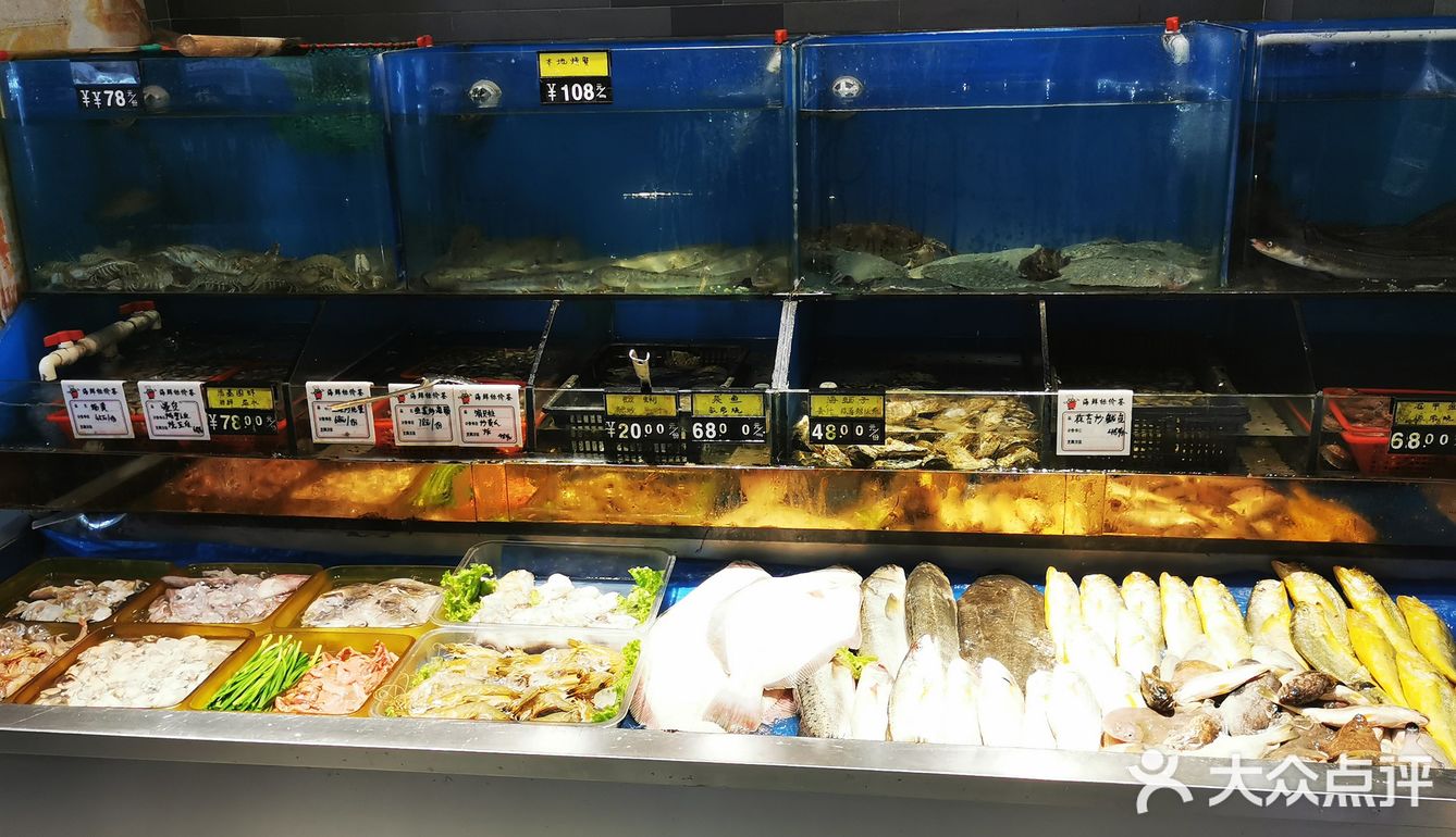 想吃羊肉哪里去？星宝酒楼来一局。