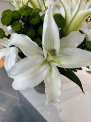 -HEYAN长风荷妍专业脱毛美肤
