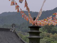 环境清幽-杭州上天竺法喜讲寺