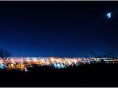 -鬼笑石后山停车场