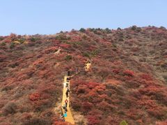 -水峪民俗村