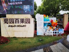 -菊园百果园